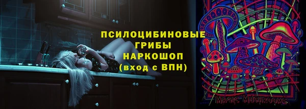 МДПВ Новодвинск