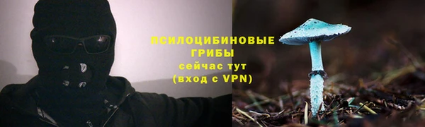 индика Нефтегорск