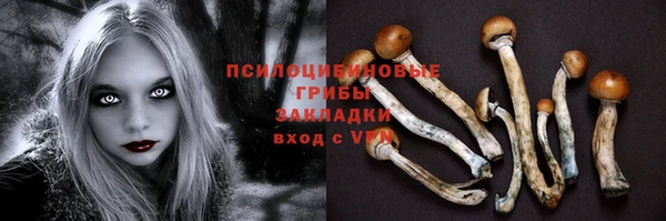 МДПВ Новодвинск